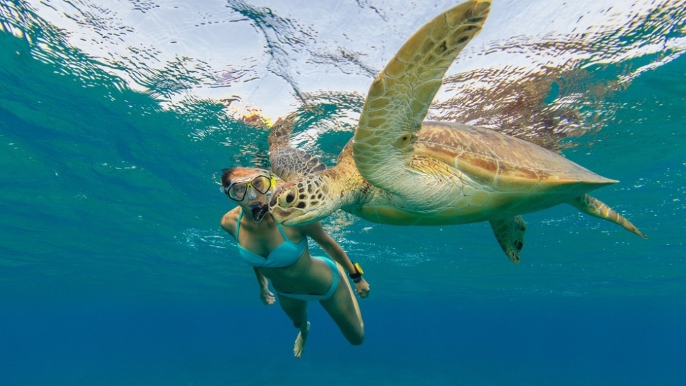 Snorkeling Trip At Hamata Islands From Marsa Alam